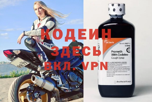 крисы Тында